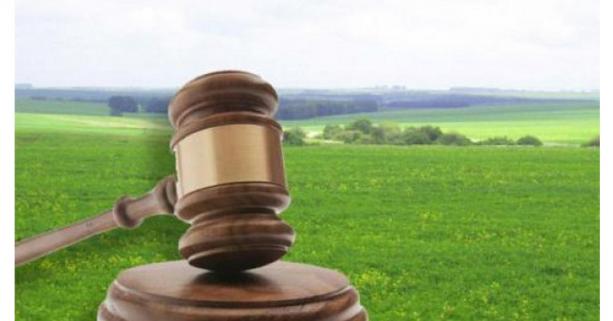 Аграріїв запрошують взяти участь у земельних торгах