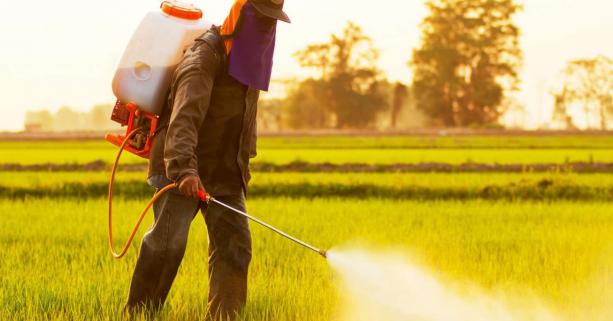 Використану тару з-під пестицидів і агрохімікатів можна безкоштовно утилізувати