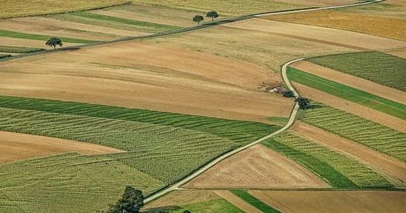 Аграріїв запрошують для участі у земельному аукціоні