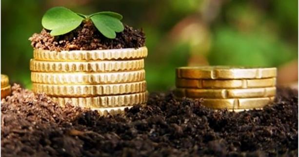 Відомості про грошову оцінку земель 166 населених пунктів області внесли до Державного земельного кадастру