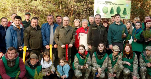 «Створюємо ліси разом»: в межах акції в області висадили понад 70 тисяч дерев