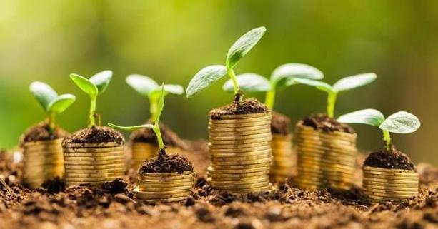 Кабмін затвердив нову методику нормативної грошової оцінки земель: що це дасть громадянам і громадам