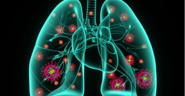 12 листопада – Всесвітній день боротьби з пневмонією