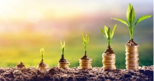 Сільгоспвиробникам спрямували 4,7 млн грн державної підтримки на будівництво об’єктів садівництва