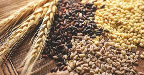 Сільськогосподарське виробництво в області зросло на понад 9%