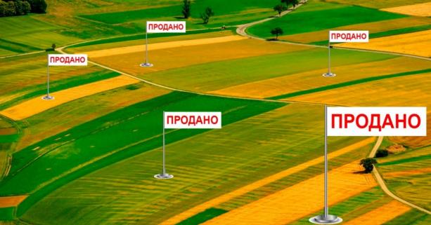 На Львівщині відбулись перші електронні земельні аукціони