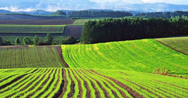 Вартість паю на Львівщині вдвічі вища за середню по Україні