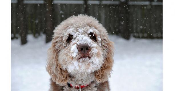 Сьогодні на території області значні опади та ожеледиця
