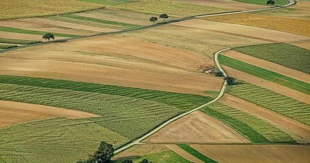 До уваги аграріїв: на Львівщині відбудуться електронні земельні торги