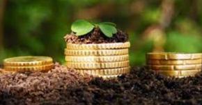 До уваги аграріїв: на Львівщині відбудуться електронні земельні торги