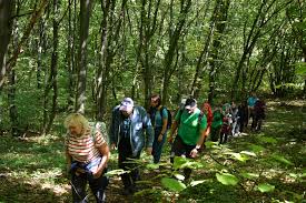 Для ветеранів організували мандрівку у національний природний парк «Північне Поділля»