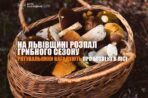 Рятувальники нагадують про безпеку в лісі: після дощів на Львівщині розпочався активний грибний сезон