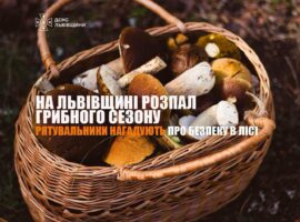 Рятувальники нагадують про безпеку в лісі: після дощів на Львівщині розпочався активний грибний сезон