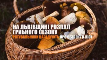 Рятувальники нагадують про безпеку в лісі: після дощів на Львівщині розпочався активний грибний сезон