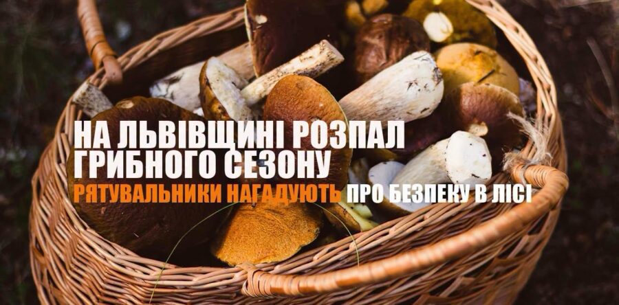 Рятувальники нагадують про безпеку в лісі: після дощів на Львівщині розпочався активний грибний сезон